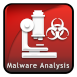 Malware Analysis Icon